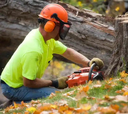 tree services Maggie Valley